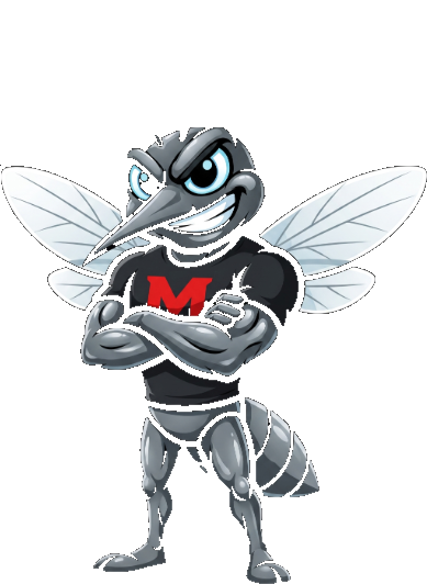 Maskottchen der Fahrschule Mücke